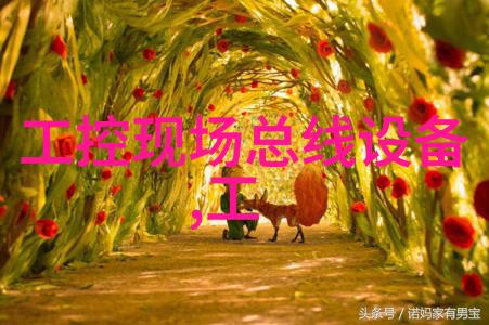 粮食水分仪-wile 55货号7000550